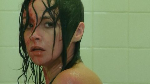 Danielle Harris - Nudity in Hatchet III (2013)