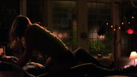 Agnes Bruckner - Nudity in Peaceful Warrior (2006)